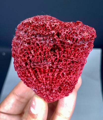 Natural Red Coral Specimen - 46 grams