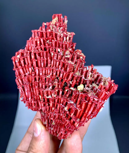 Natural Red Coral Specimen - 55 gram