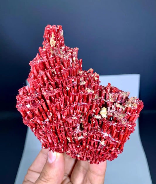 Natural Red Coral Specimen - 55 gram