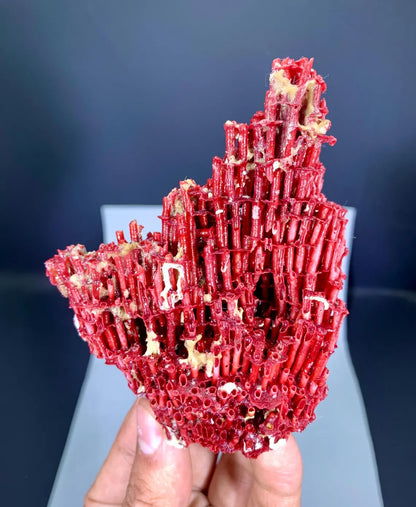 Natural Red Coral Specimen - 55 gram