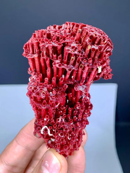 Unique Shape Red Coral Specimen - 27 gram
