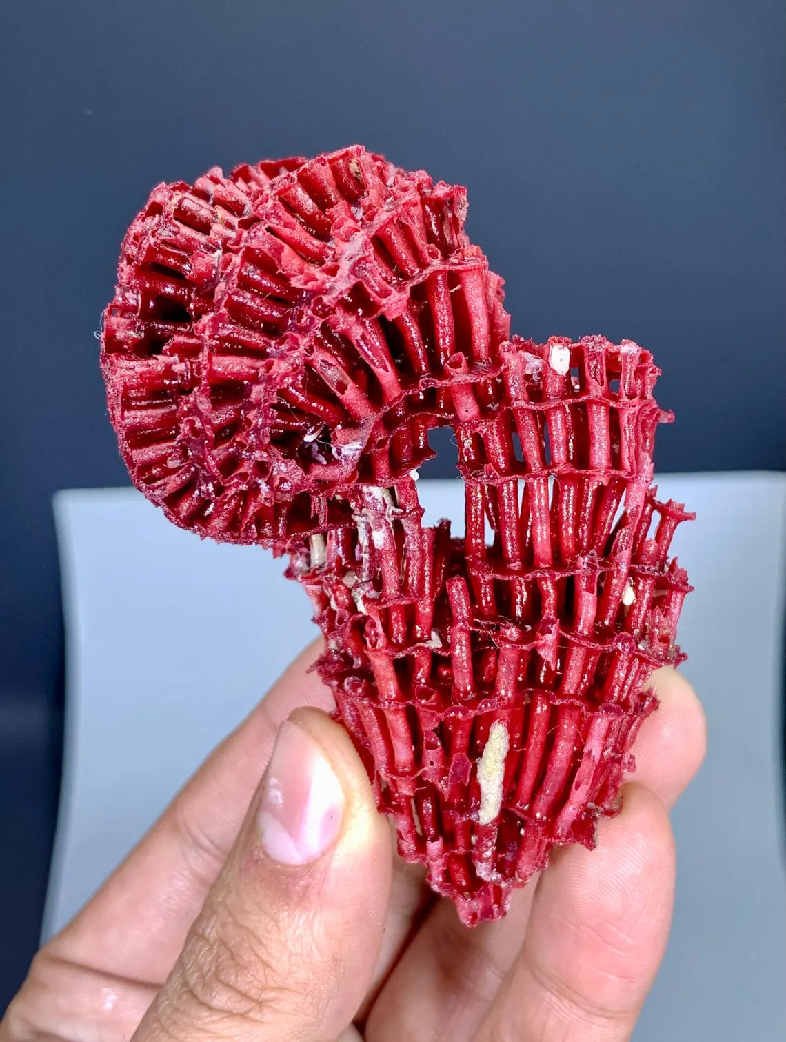 Unique Shape Red Coral Specimen - 27 gram