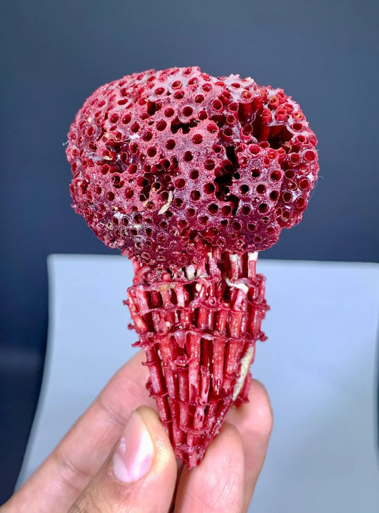 Unique Shape Red Coral Specimen - 27 gram