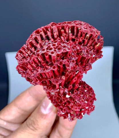 Unique Shape Red Coral Specimen - 27 gram