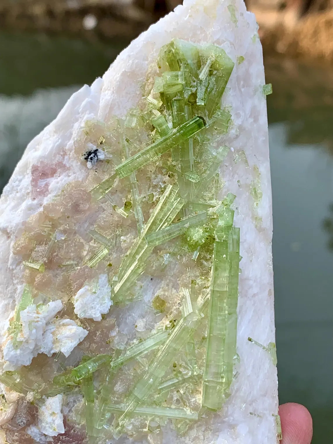 Tourmaline Cluster on Feldspar from Pakistan - 457 grams
