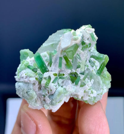 Tourmaline Crystal Specimen from Afghanistan - 39 gram