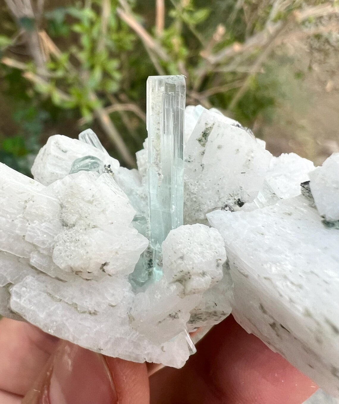 Aquamarine Crystals on Feldspar from Shigar valley Pakistan - 50 gram