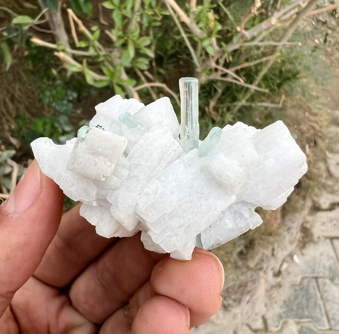 Aquamarine Crystals on Feldspar from Shigar valley Pakistan - 50 gram