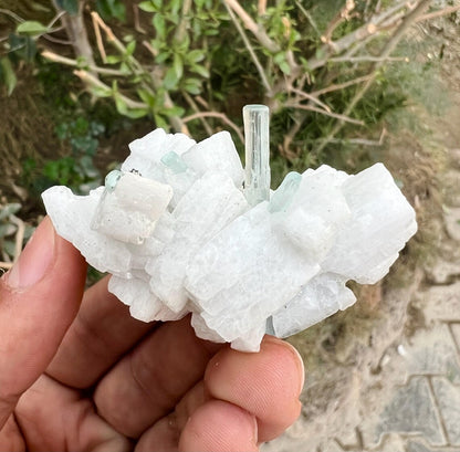 Aquamarine Crystals on Feldspar from Shigar valley Pakistan - 50 gram