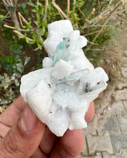 Aquamarine Crystals on Feldspar from Shigar valley Pakistan - 50 gram