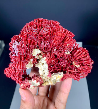 Red Coral Specimen - 111 gram