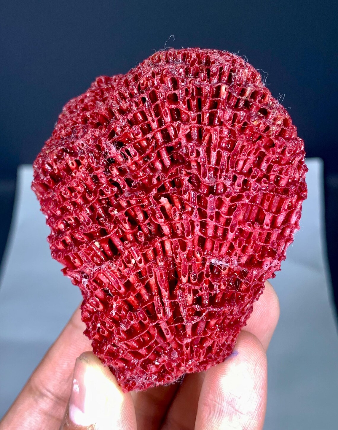 Natural Red Coral Specimen - 46 grams