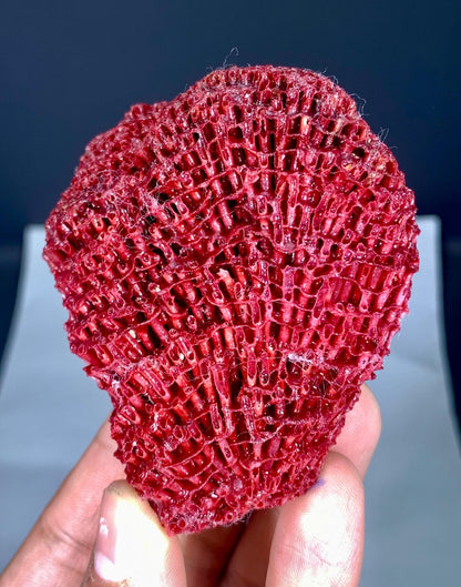 Natural Red Coral Specimen - 46 grams