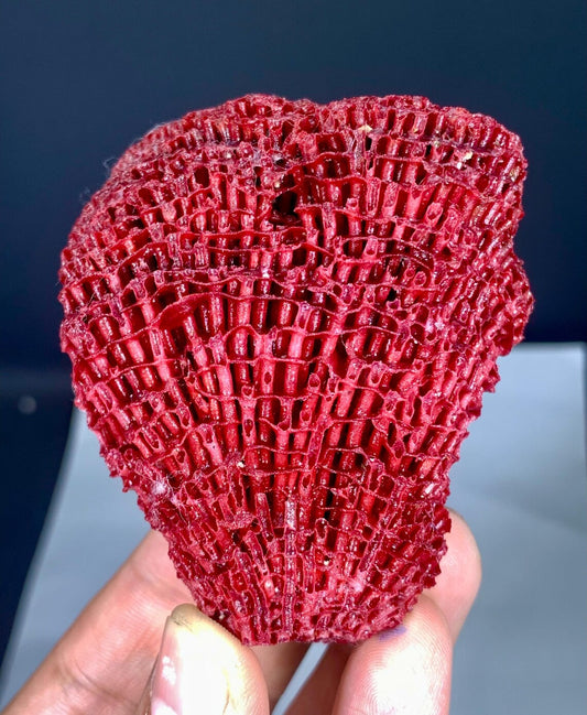 Natural Red Coral Specimen - 46 grams
