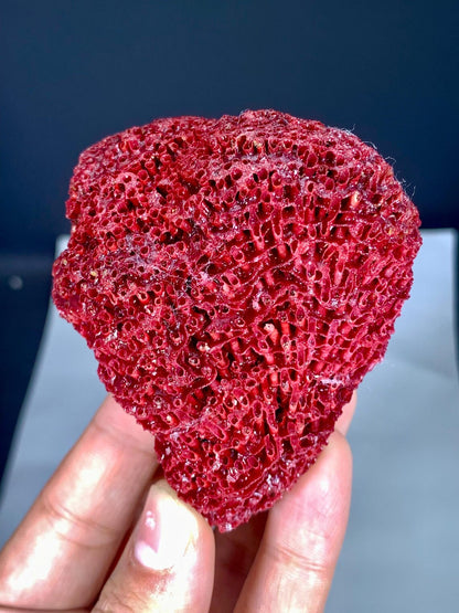 Natural Red Coral Specimen - 46 grams