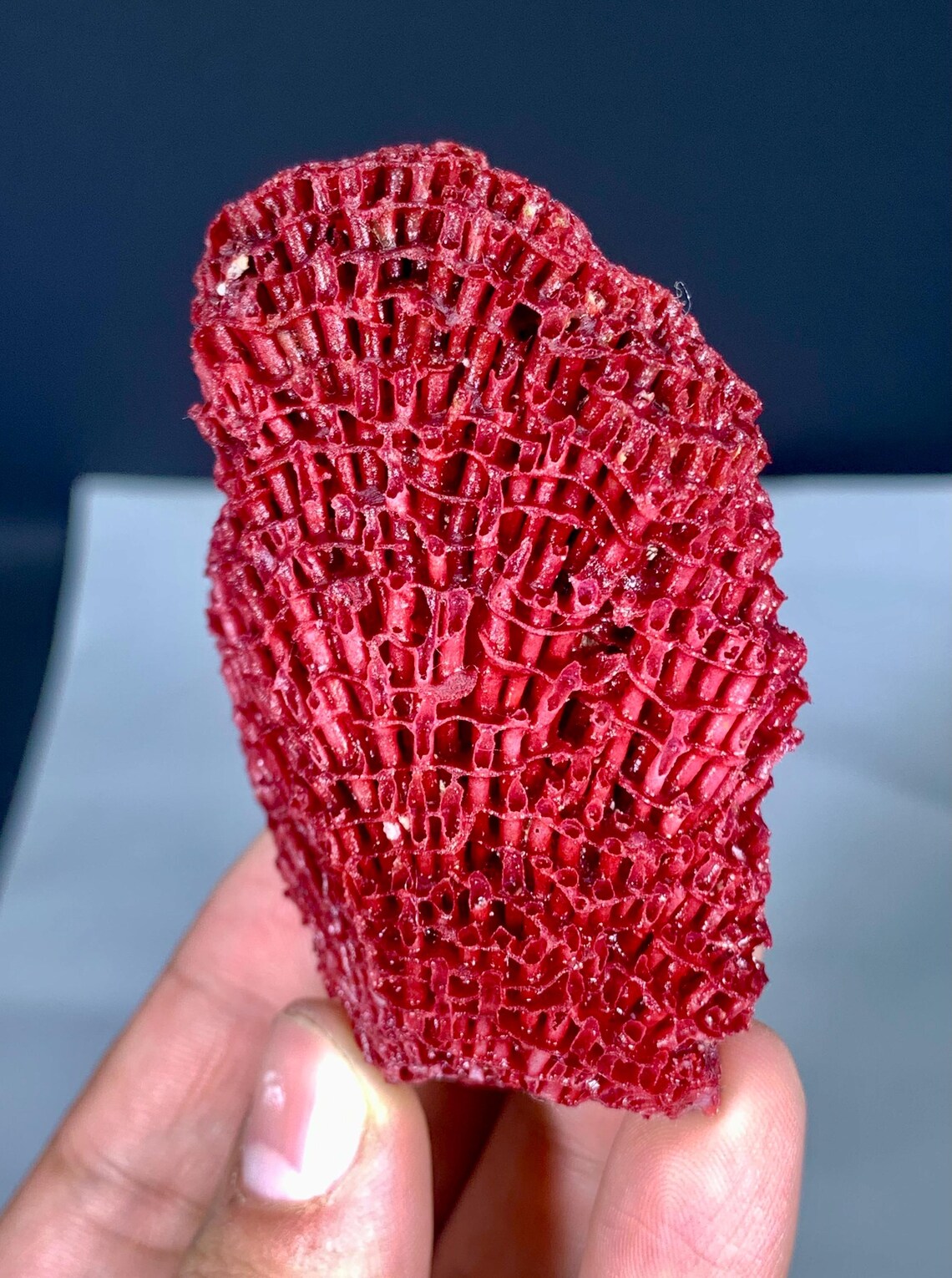 Natural Red Coral Specimen - 46 grams