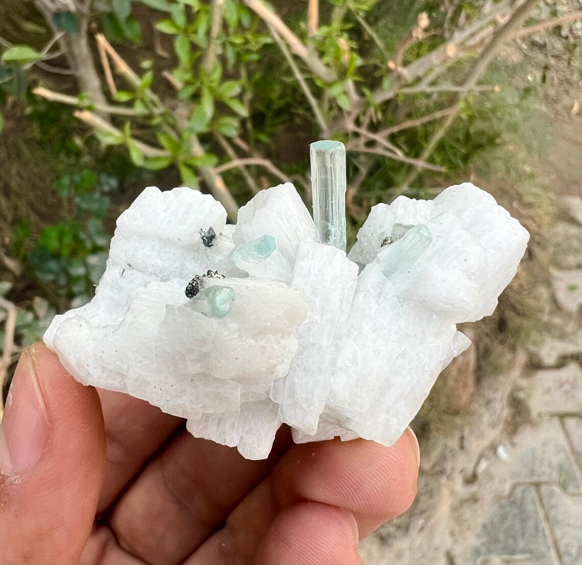 Aquamarine Crystals on Feldspar from Shigar valley Pakistan - 50 gram