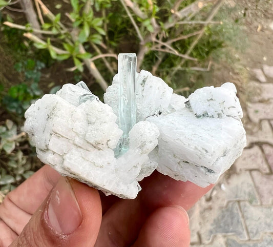 Aquamarine Crystals on Feldspar from Shigar valley Pakistan - 50 gram