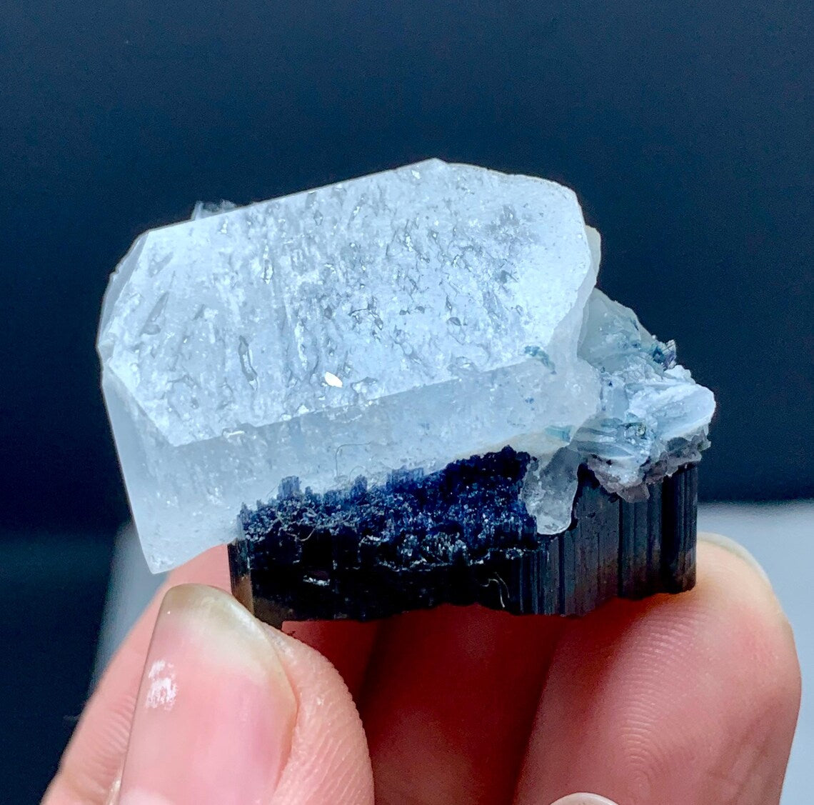 Aquamarine on Blue Cap Tourmaline from Afghanistan - 24 gram