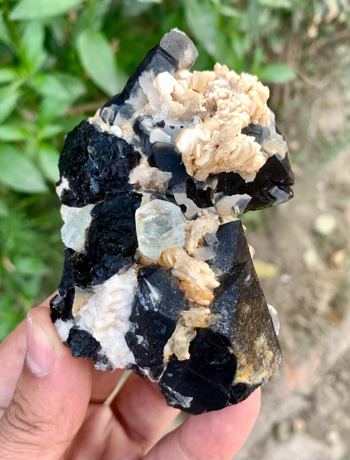 Aquamarine on Smoky Quartz and Albite from Skardu Pakistan - 123 gram