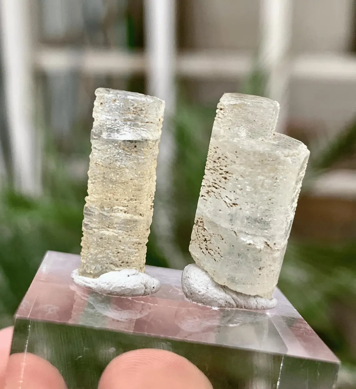 Aquamarine Crystals Pair from Afghanistan - 22.00 Carats