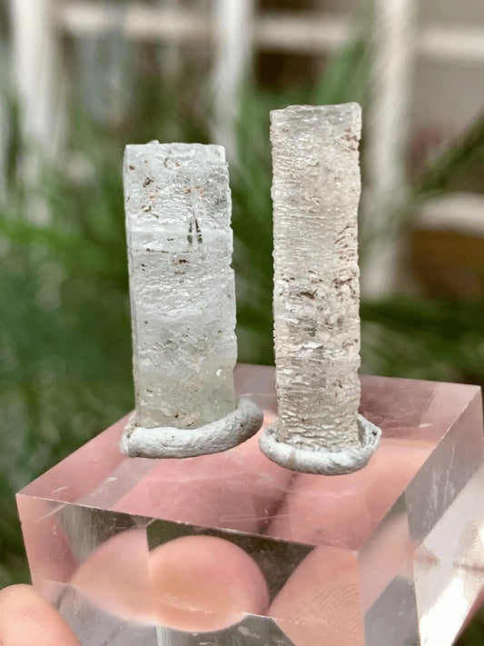 Aquamarine Crystals Pair from Afghanistan - 22.00 Carats