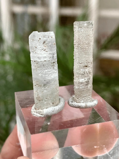 Aquamarine Crystals Pair from Afghanistan - 22.00 Carats