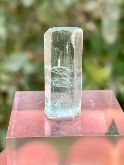 Aquamarine Crystal from Pakistan - 14.00 carats