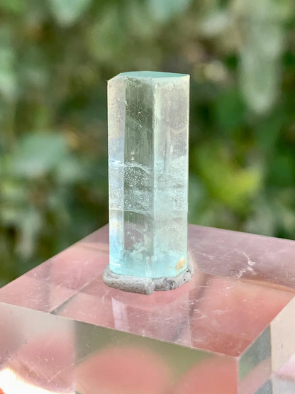 Aquamarine Crystal from Pakistan - 14.00 carats