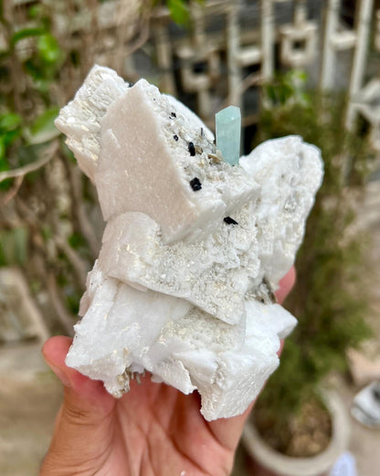 Aquamarine Combine Schorl Tourmaline on Feldspar from Shigar valley Pakistan - 820 gram