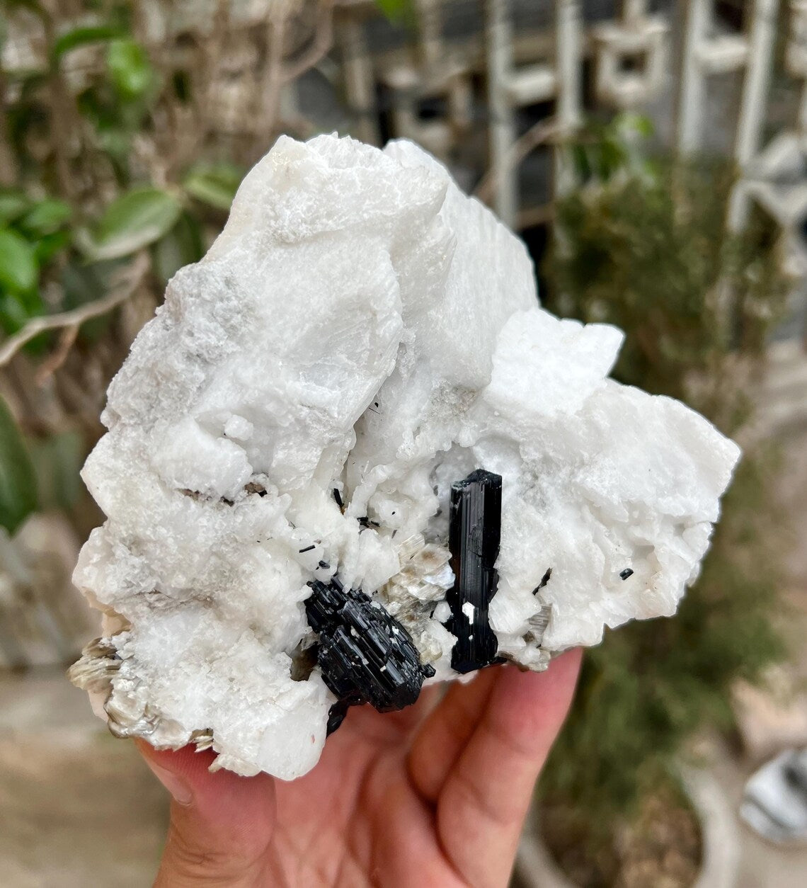 Aquamarine Combine Schorl Tourmaline on Feldspar from Shigar valley Pakistan - 820 gram