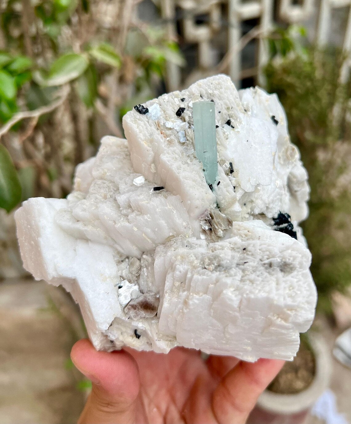 Aquamarine Combine Schorl Tourmaline on Feldspar from Shigar valley Pakistan - 820 gram