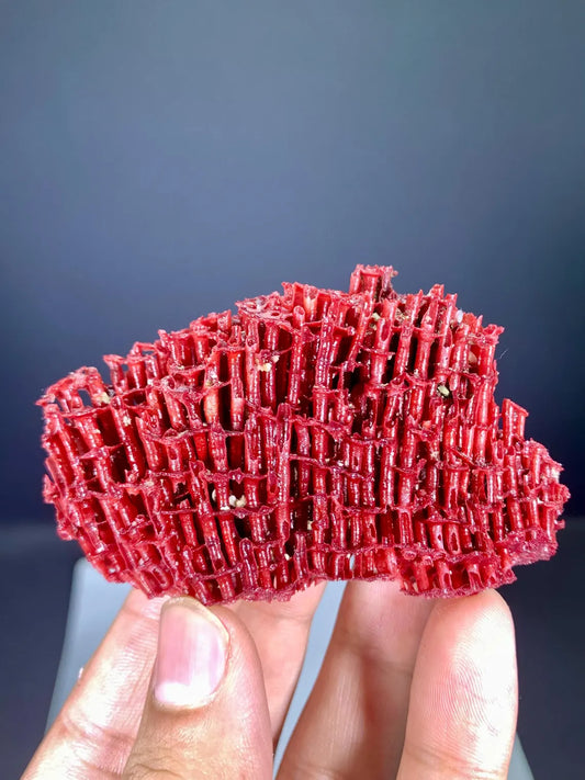 Natural Red Coral Specimen - 26 gram