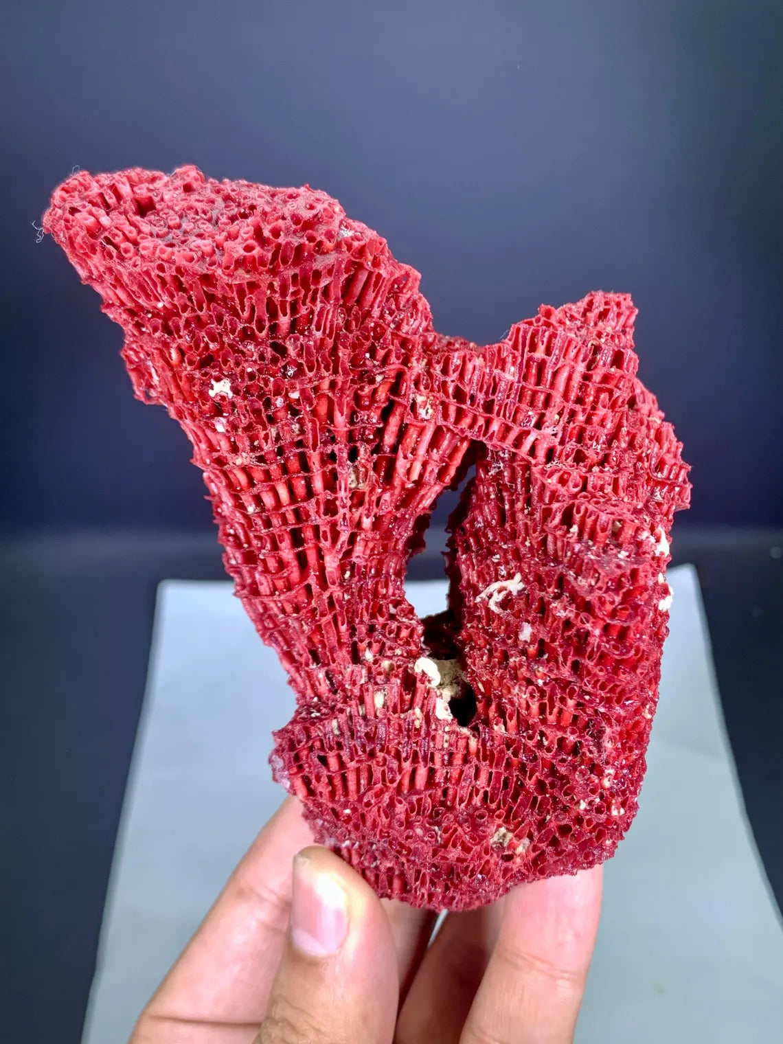 Natural Red Coral Specimen - 100 gram