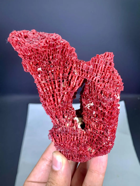Natural Red Coral Specimen - 100 gram