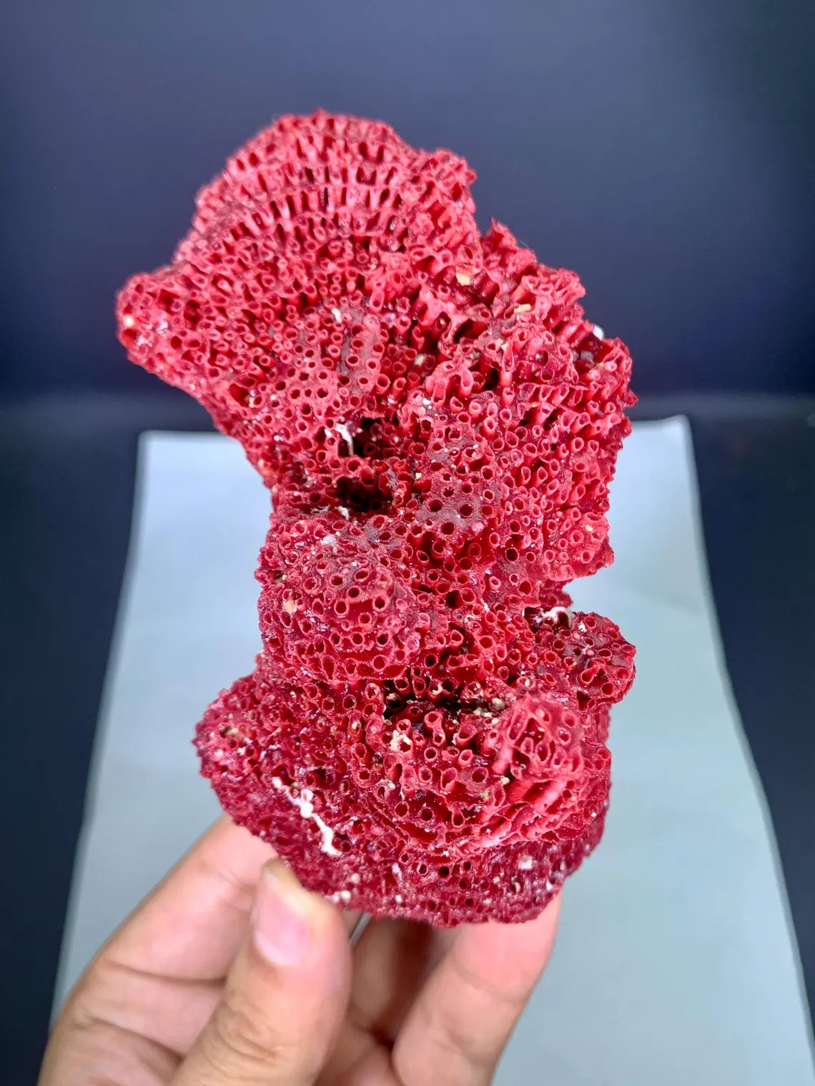 Natural Red Coral Specimen - 100 gram