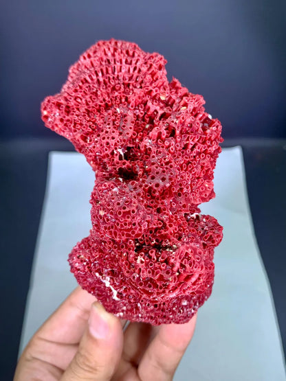Natural Red Coral Specimen - 100 gram