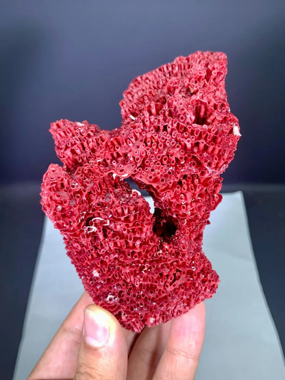Natural Red Coral Specimen - 100 gram