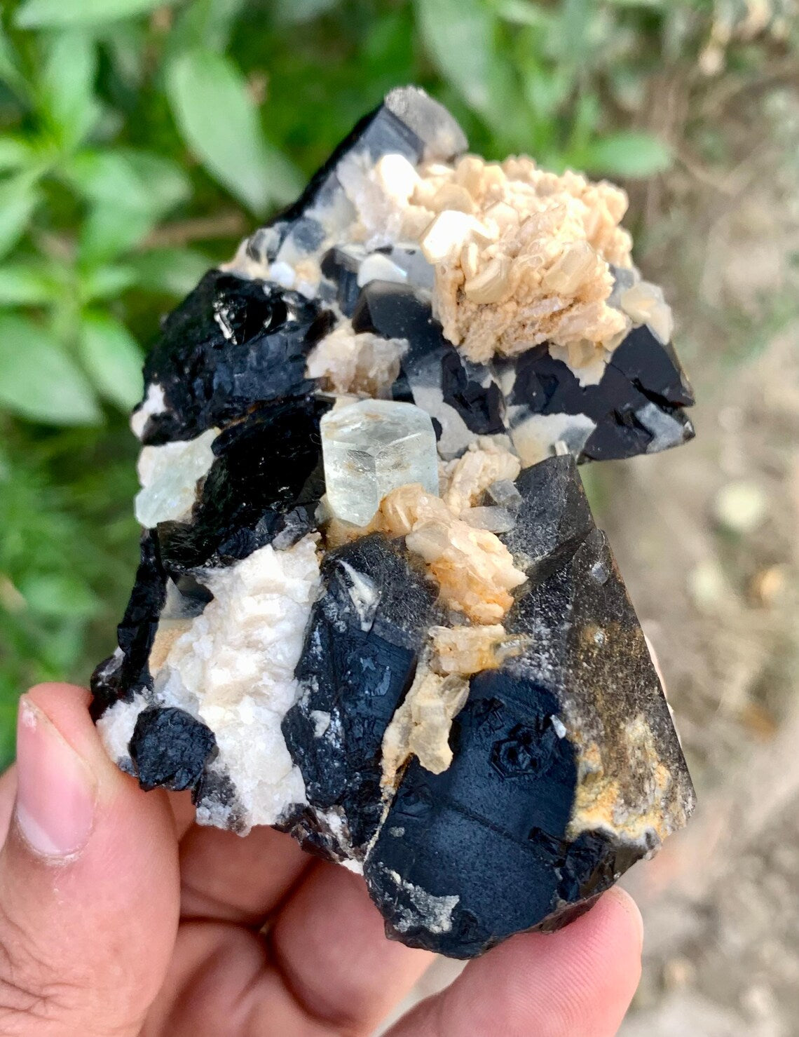 Aquamarine on Smoky Quartz and Albite from Skardu Pakistan - 123 gram