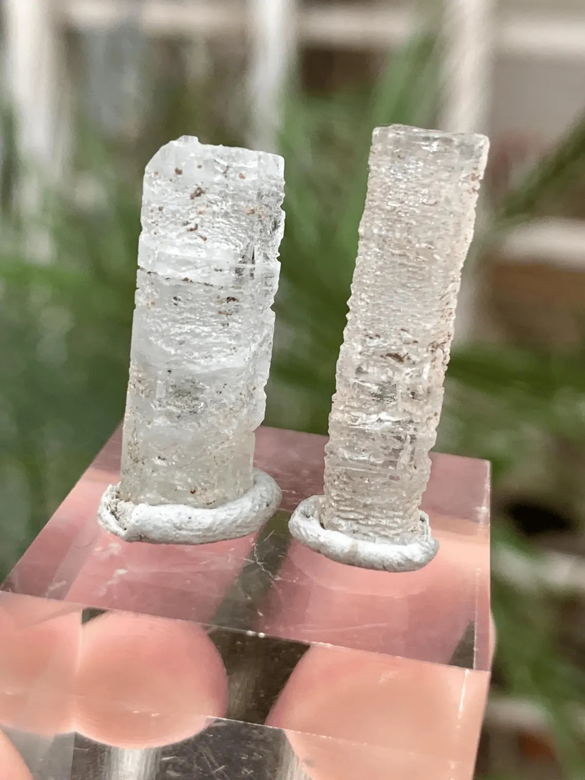 Aquamarine Crystals Pair from Afghanistan - 22.00 Carats