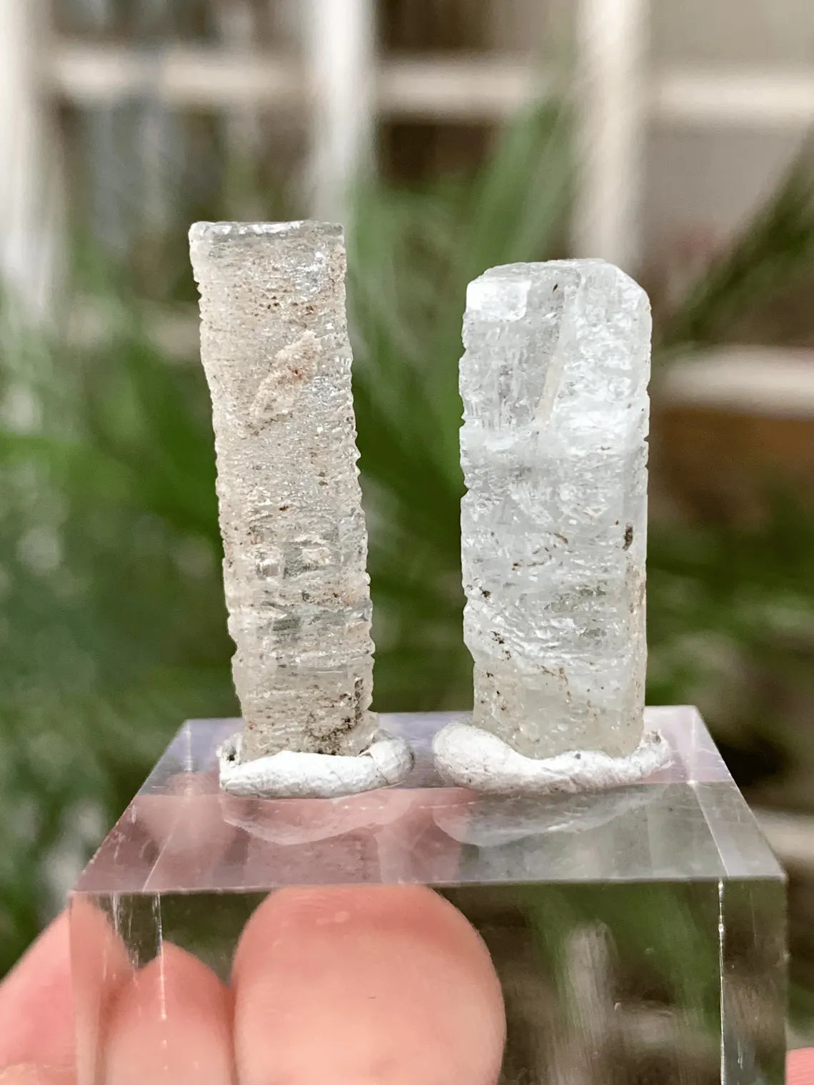 Aquamarine Crystals Pair from Afghanistan - 22.00 Carats