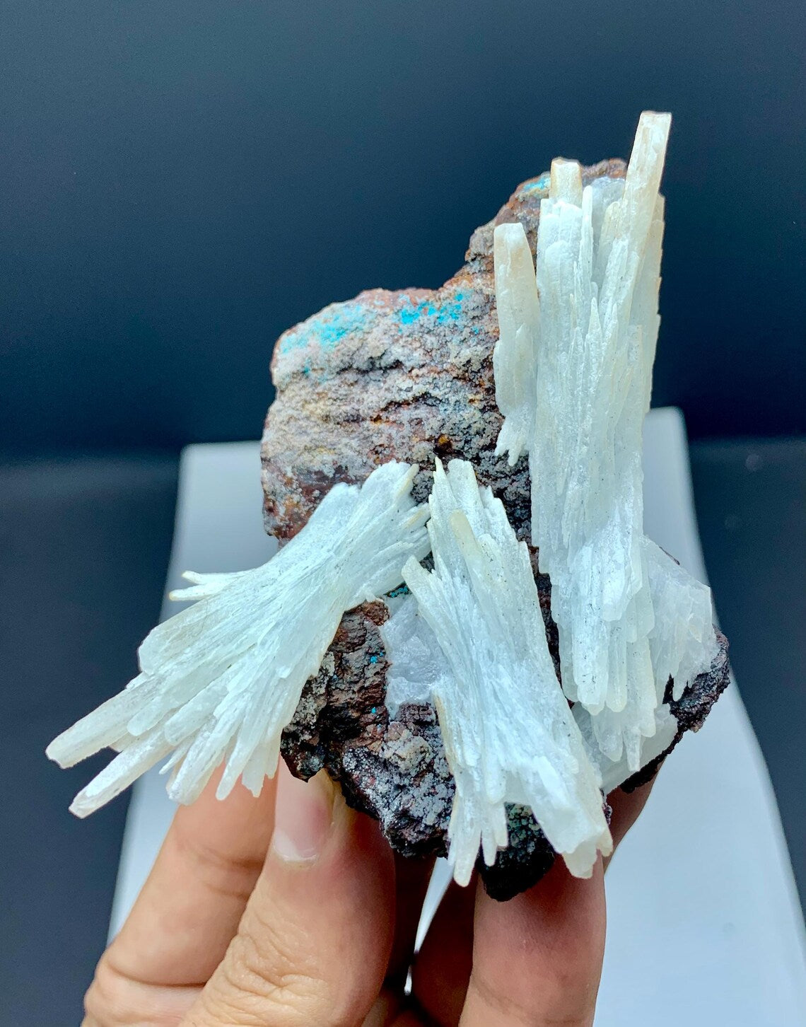 Crystallized White Aragonite with Chryosocolla on Matrix from Baluchistan, Pakistan - 144 grams