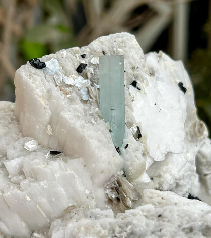 Aquamarine Combine Schorl Tourmaline on Feldspar from Shigar valley Pakistan - 820 gram