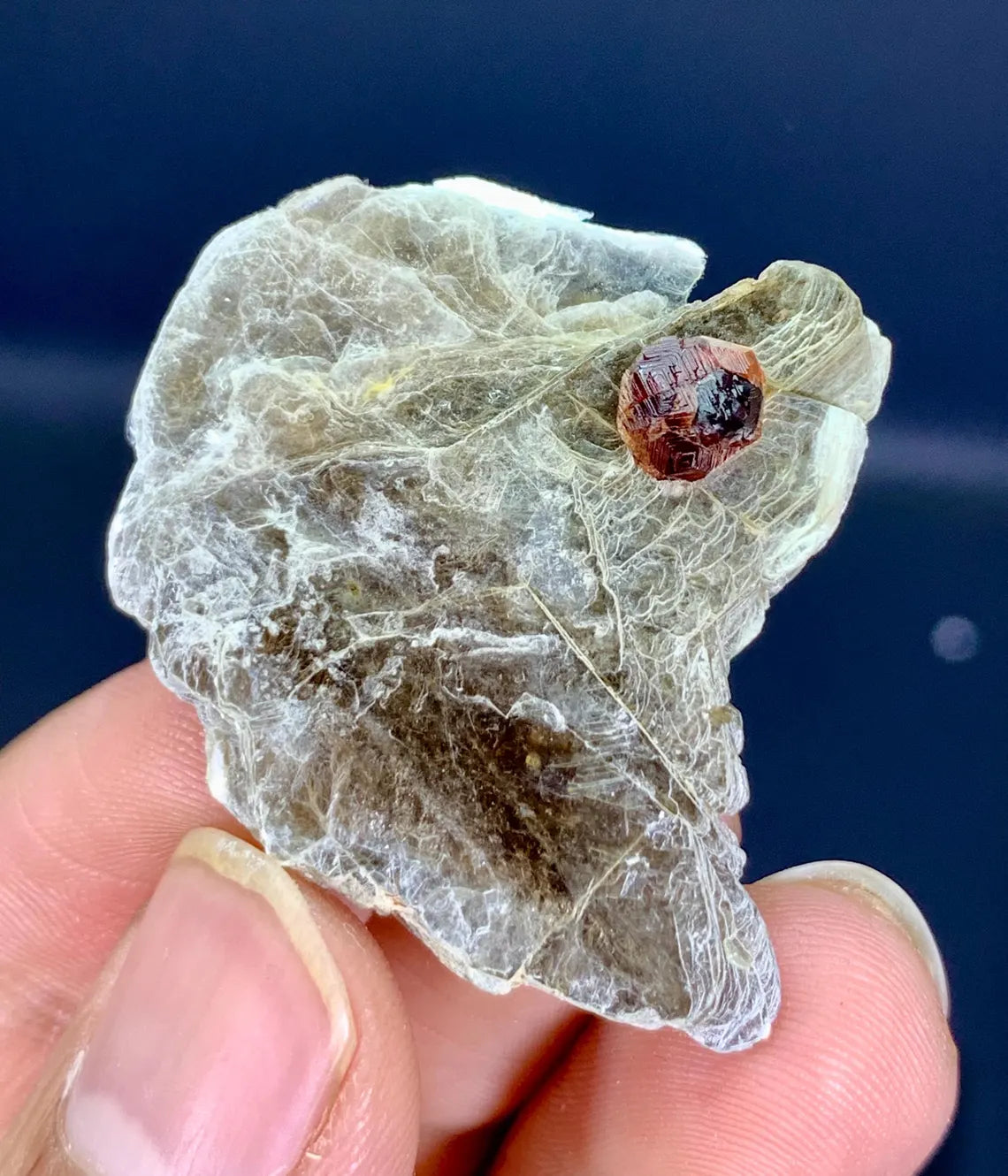Garnet on Star Mica from Skardu Pakistan - 29 carat