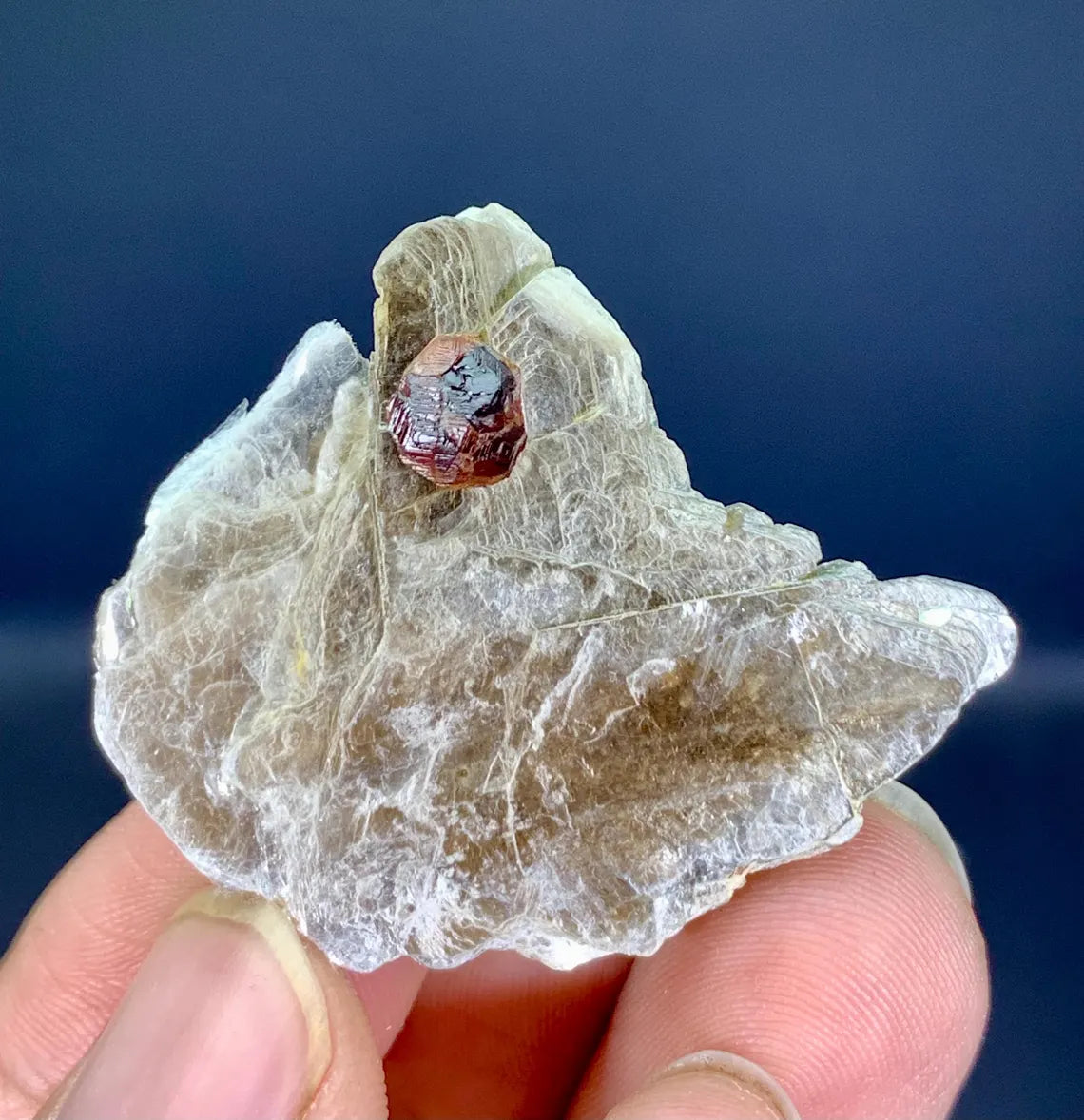 Garnet on Star Mica from Skardu Pakistan - 29 carat