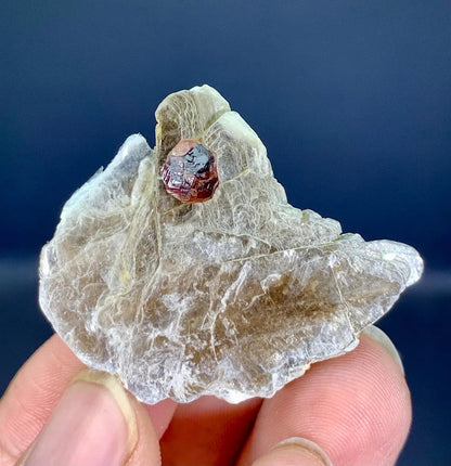 Garnet on Star Mica from Skardu Pakistan - 29 carat