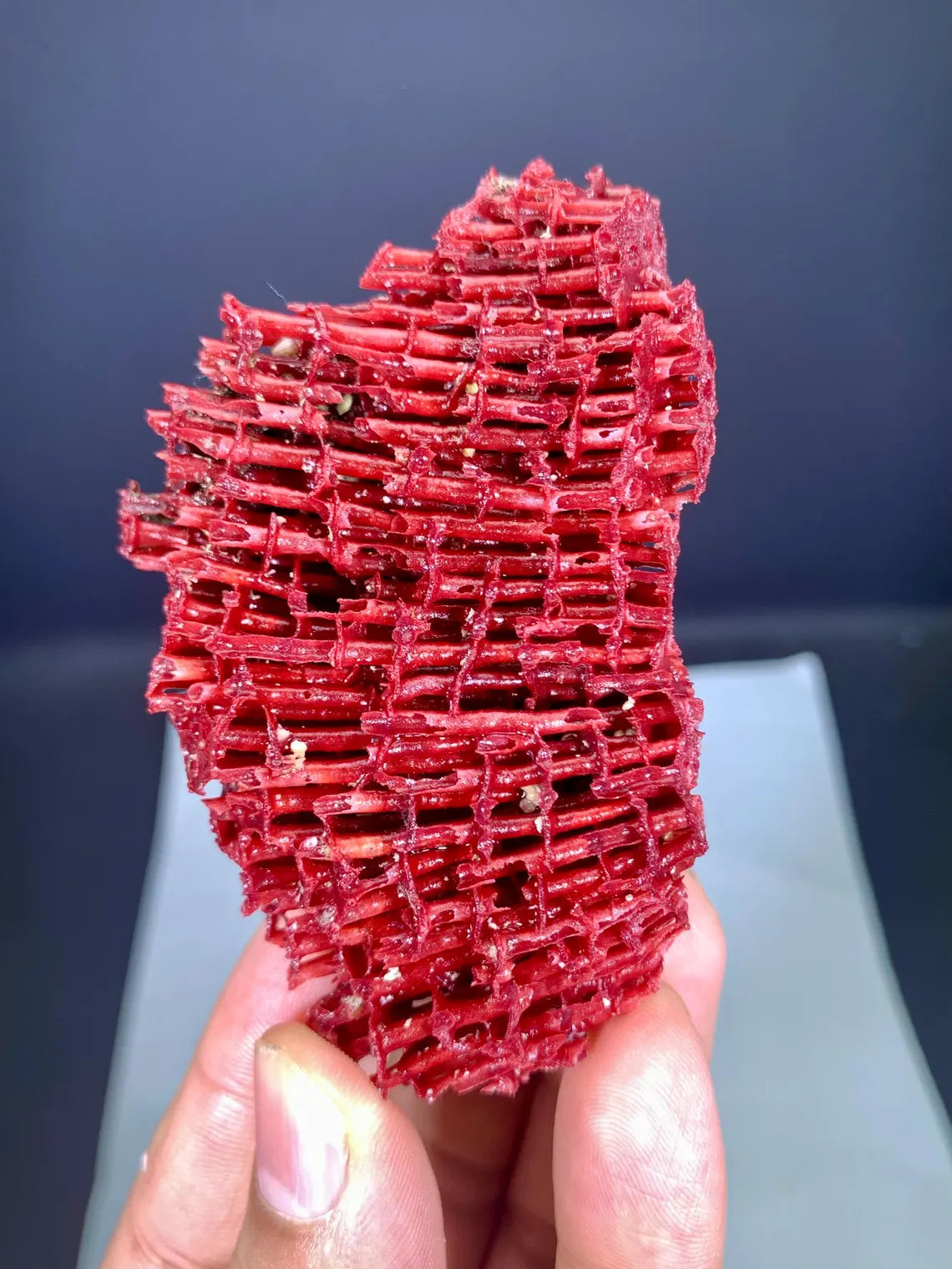 Natural Red Coral Specimen - 26 gram