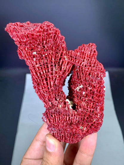 Natural Red Coral Specimen - 100 gram