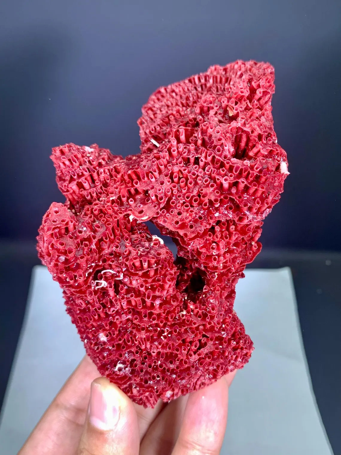 Natural Red Coral Specimen - 100 gram
