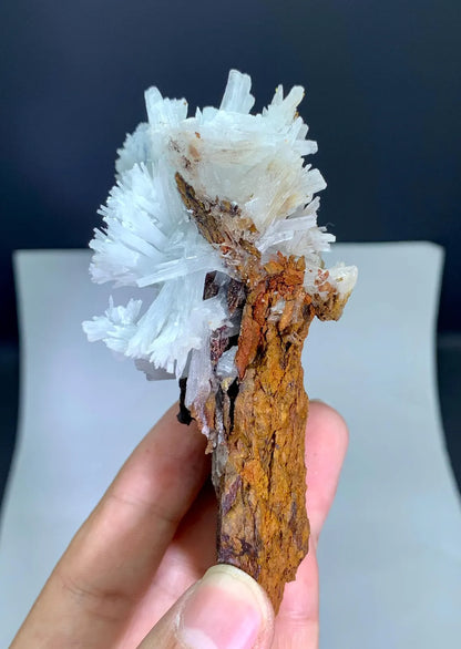 Crystallized White Aragonite Cluster on Matrix from Baluchistan, Pakistan - 146 grams